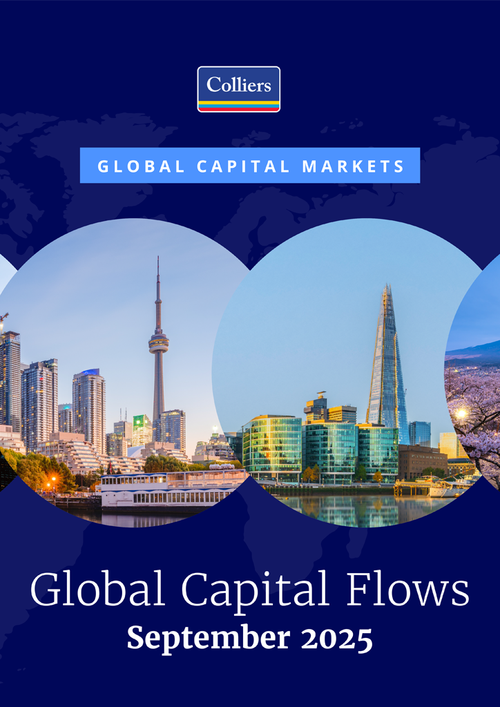 Global Capital Flows